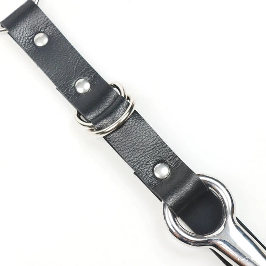 and Anal with 5853 Collar Leash EverydayUse Hook Kinky 0815